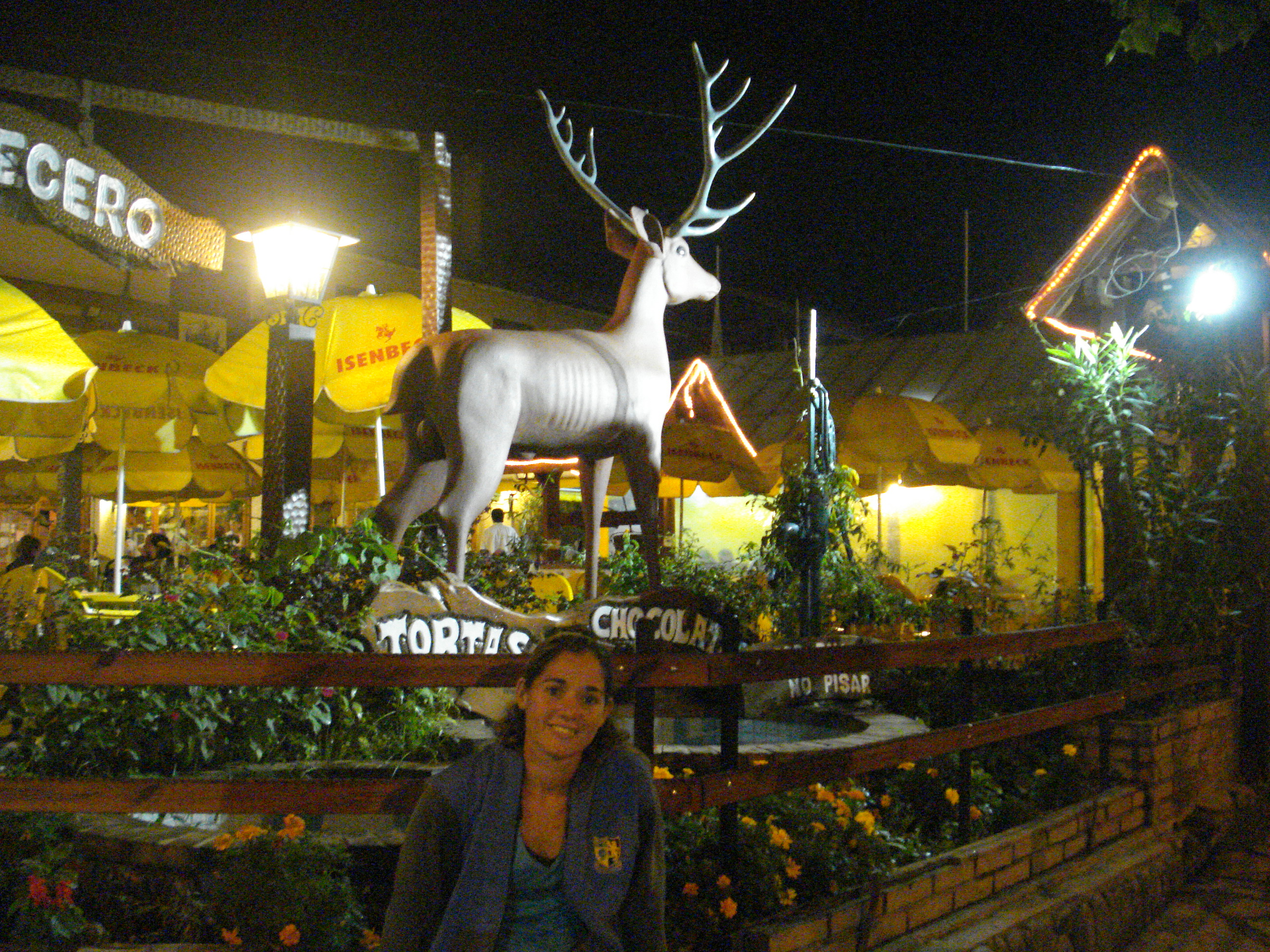 fotos/2011 - Los Reartes/DSC00432.JPG